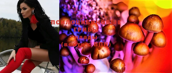 прущая мука Тихвин