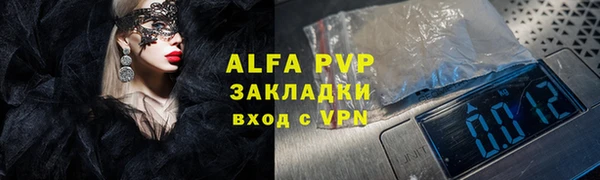 индика Тобольск