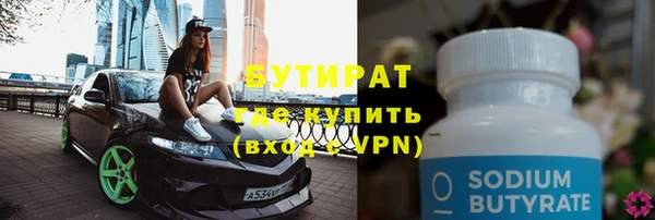 индика Тобольск