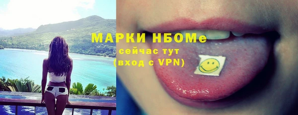 индика Тобольск