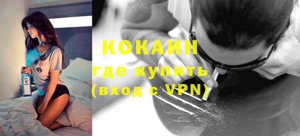 индика Тобольск
