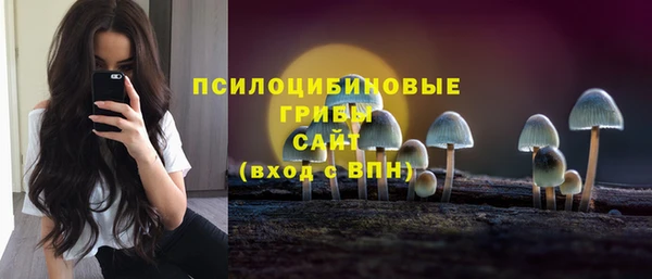 прущая мука Тихвин