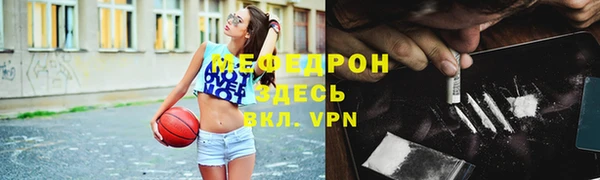 индика Тобольск