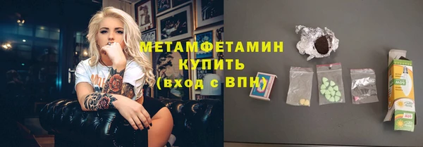 индика Тобольск