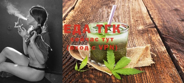 индика Тобольск