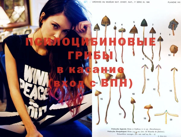 гашик Тихорецк