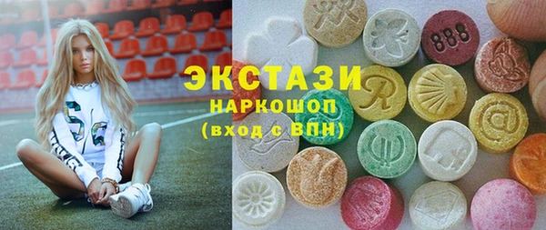 индика Тобольск
