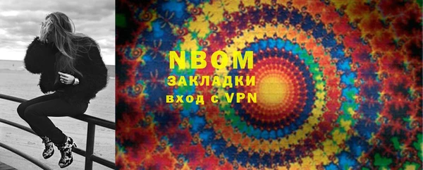индика Тобольск