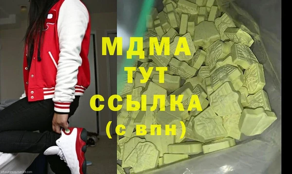 индика Тобольск