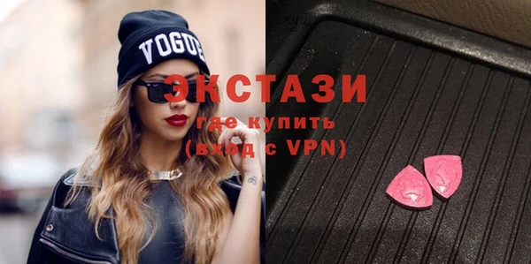 индика Тобольск