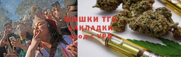 индика Тобольск