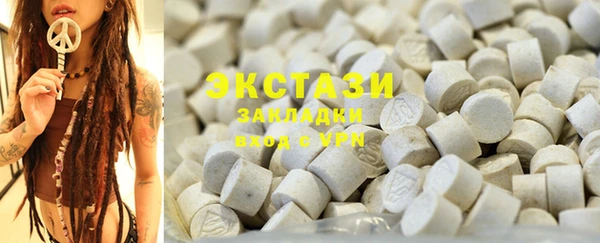 индика Тобольск