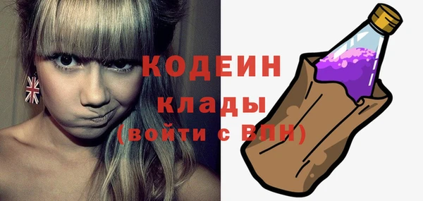 индика Тобольск