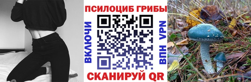 Галлюциногенные грибы MAGIC MUSHROOMS Назарово